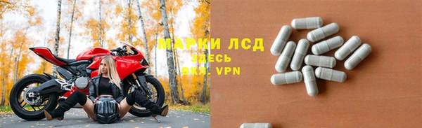 индика Балабаново