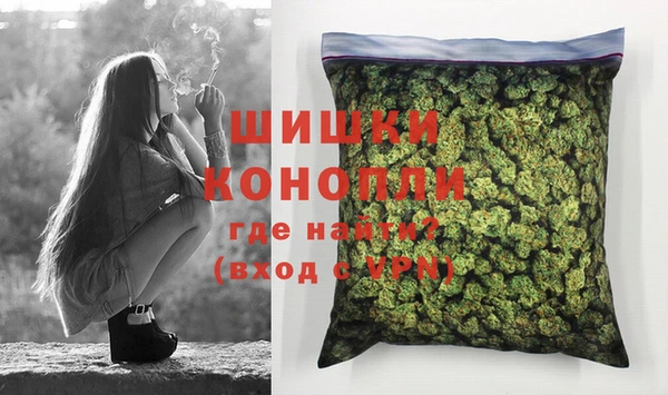 индика Балабаново