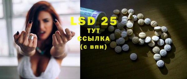 индика Баксан