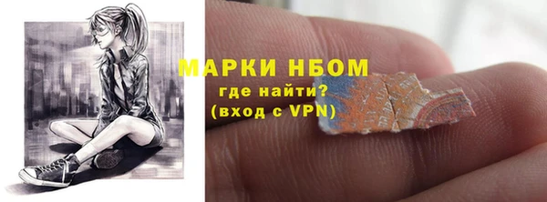 индика Баксан