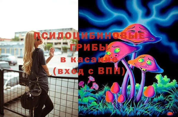 дживик Балахна