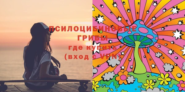 дживик Балахна