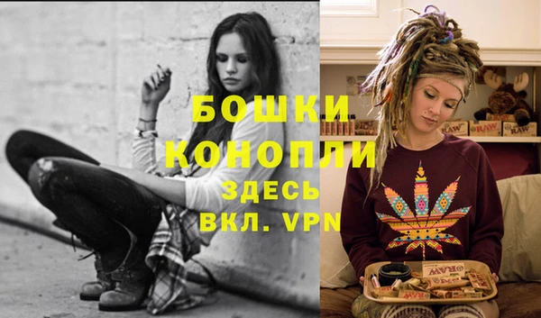 индика Балабаново