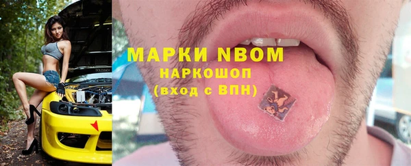 индика Баксан