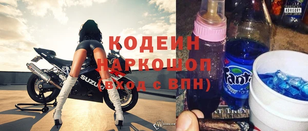 индика Баксан