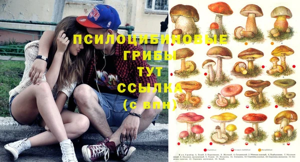индика Баксан