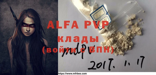 индика Баксан