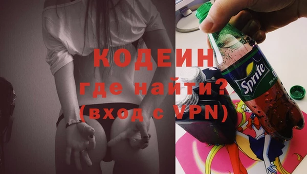 индика Баксан