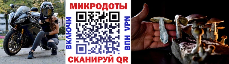где купить наркоту  Лениногорск  Псилоцибиновые грибы Magic Shrooms 